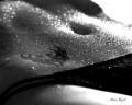 IC7K32424.jpg